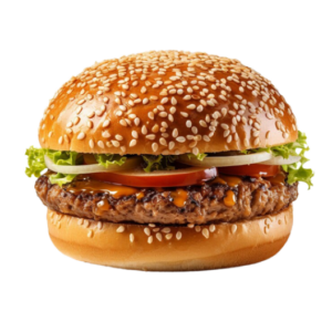 Chicken Patty Burger